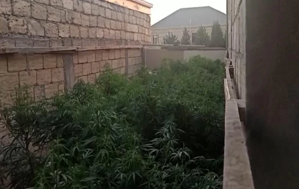 Polisdən əməliyyat: Saxlanılan var - FOTO/VİDEO