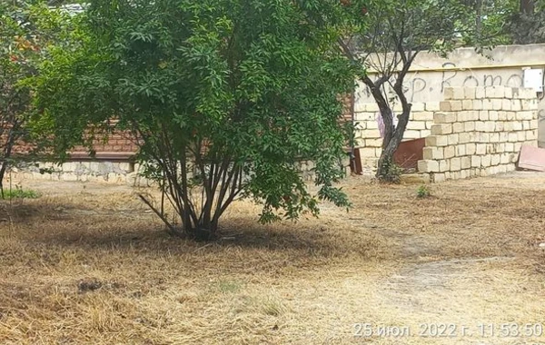 Bakıda yaşıllıq ərazidə tikinti aparılır - ŞİKAYƏT + FOTO