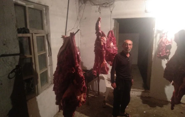 Bərdədə at əti satan şəxs TUTULDU - FOTO