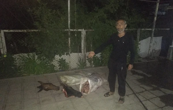 Bərdədə at əti satan şəxs TUTULDU - FOTO