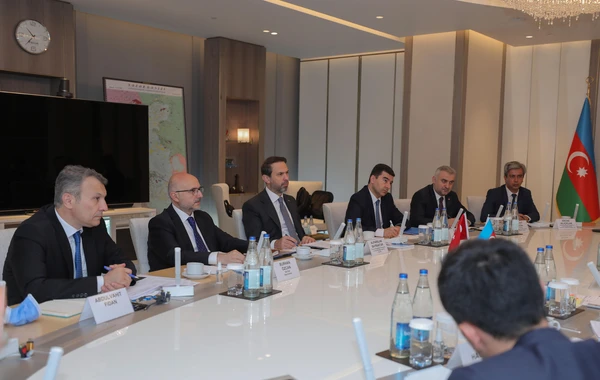 SOCAR prezidenti Türkiyənin energetika və təbii sərvətlər nazirinin müavini ilə görüşüb - FOTO