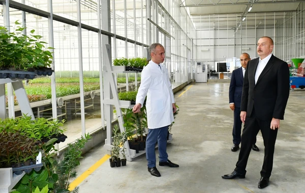 İlham Əliyev və Mehriban Əliyeva “Grand-Agro İnvitro” MMC-nin müəssisəsi ilə tanış olub - FOTO