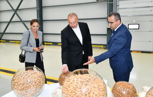 İlham Əliyev və Mehriban Əliyeva “Grand-Agro İnvitro” MMC-nin müəssisəsi ilə tanış olub - FOTO
