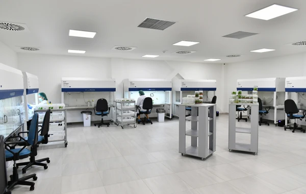 Ильхам Алиев и Мехрибан Алиева ознакомились с предприятием ООО "Grand-Agro Invitro" - ФОТО