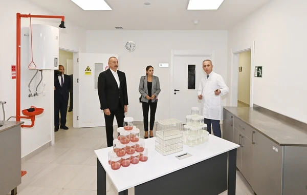 İlham Əliyev və Mehriban Əliyeva “Grand-Agro İnvitro” MMC-nin müəssisəsi ilə tanış olub - FOTO