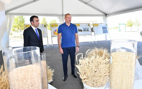 Prezident İlham Əliyev “Ağsu Aqropark”ın fəaliyyəti ilə tanış olub - YENİLƏNİB