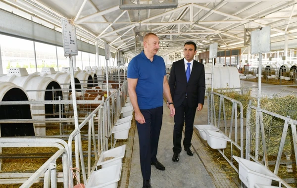 Prezident İlham Əliyev “Ağsu Aqropark”ın fəaliyyəti ilə tanış olub - YENİLƏNİB