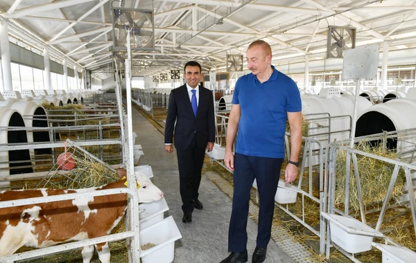 Prezident İlham Əliyev “Ağsu Aqropark”ın fəaliyyəti ilə tanış olub - YENİLƏNİB