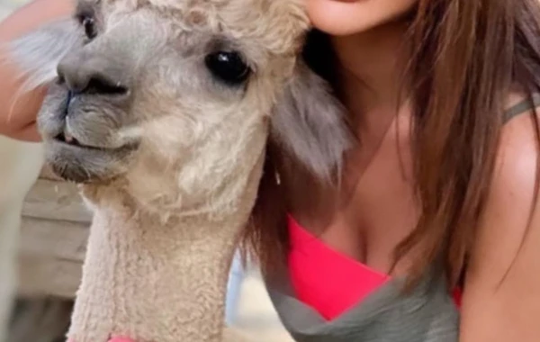 Afaq Gəncəlinin İSTİRAHƏT GÖRÜNTÜLƏRİ: "Alpakamla eşq macərası" - FOTO/VİDEO