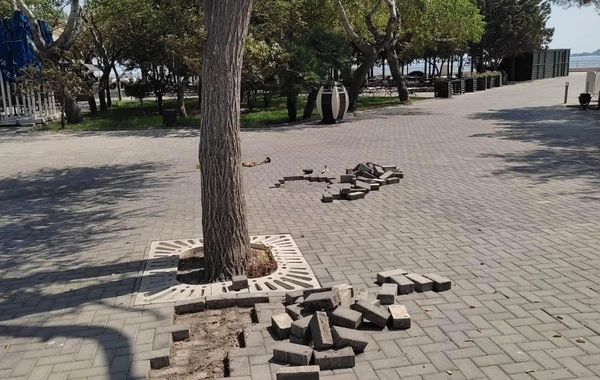 Каменные плитки на Бакинском бульваре пришли в негодность - ФОТО