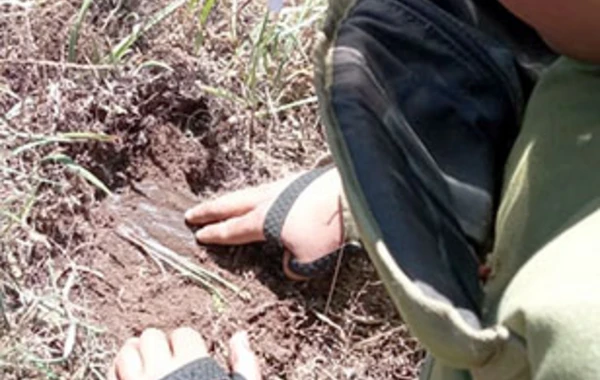 В Лачыне обнаружен участок, заминированный незаконными армянскими вооруженными формированиями - ФОТО