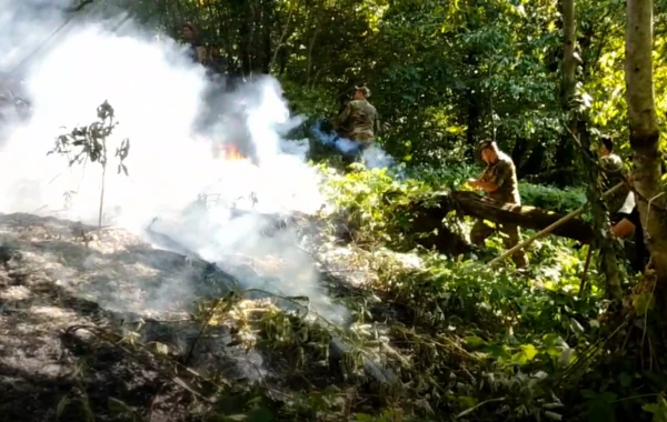 МЧС обратилось к населению в связи с пожарной безопасностью - ВИДЕО