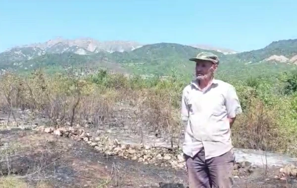 Azərbaycanda qəsdən yanğın törədən şəxs müəyyənləşdirilib  - VİDEO