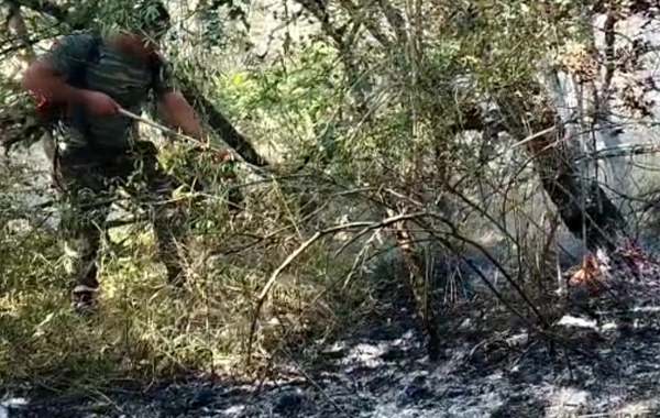 Təngəaltı və Daş Quşçu kəndlərində yanğın tam söndürülüb - FOTO