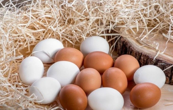Yumurtanın qiymətilə bağlı AÇIQLAMA