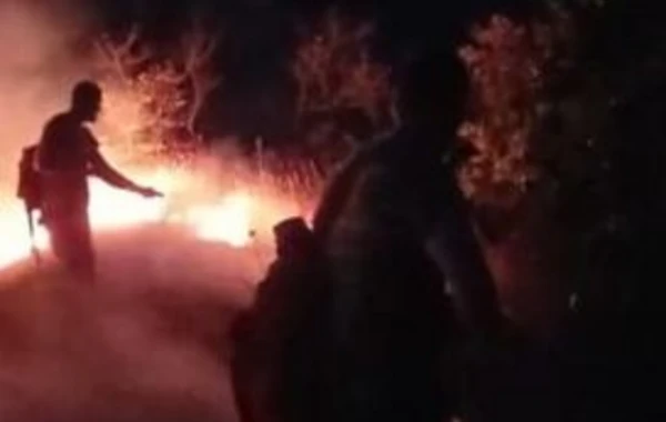 Siyəzən və Şabrandakı yanğınlar tam söndürüldü - FOTO