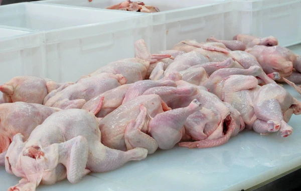 Ukraynadan Azərbaycana gətirilən toyuqda BAKTERİYA aşkarlanıb