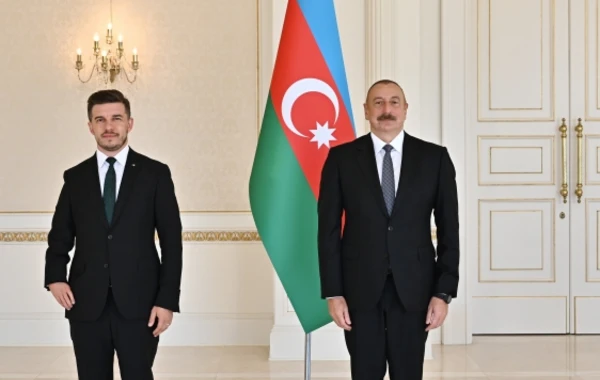 Президент Ильхам Алиев принял верительные грамоты посла Боснии и Герцеговины - ФОТО