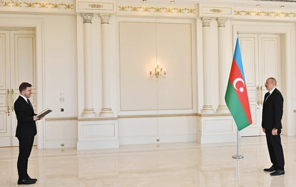 Президент Ильхам Алиев принял верительные грамоты посла Боснии и Герцеговины - ФОТО