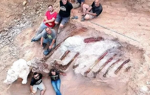 В Португалии нашли останки гигантского динозавра - крупнейшего в Европе зауропода - ФОТО