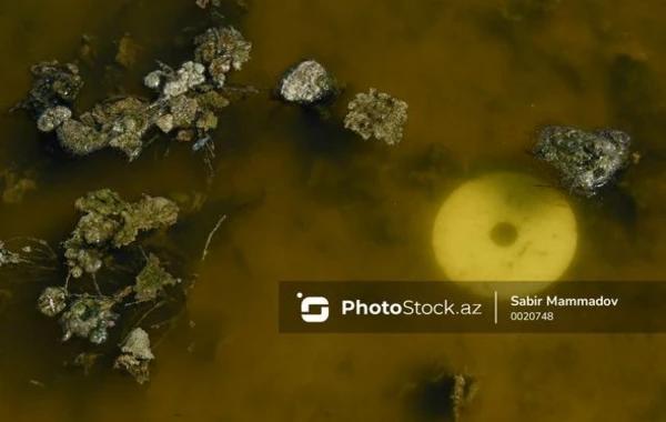 Pirşağı qəbiristanlığını əsarətinə alan çirkab gölü - FOTOREPORTAJ