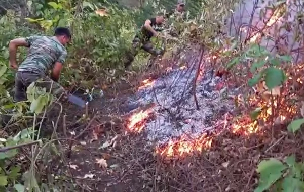 FHN Masallıdakı yanğınla belə mübarizə aparır - VİDEO