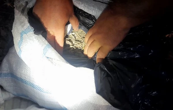 Polis əməliyyat keçirdi - 21 nəfər saxlanıldı - FOTO