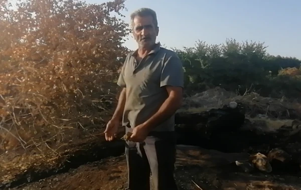 Qanunsuz neft çıxaranlar aşkarlandı - FOTO/VİDEO