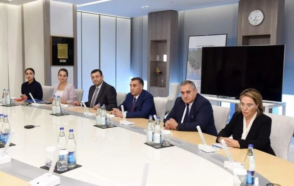 Вице-президенту SOCAR вручен орден "Шохрат" - ФОТО
