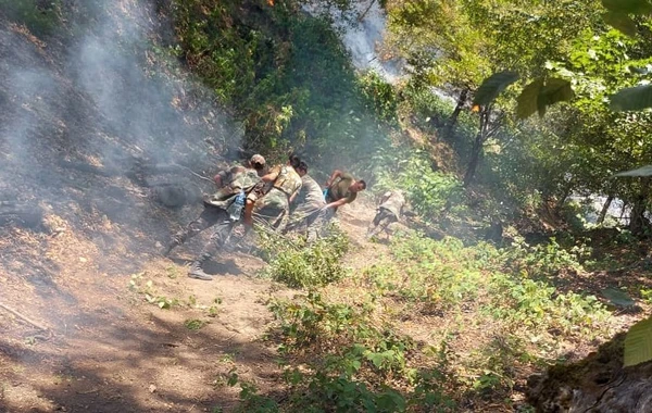 Zaqatala və İsmayıllıda yanğının qarşısı alınıb - FOTO/VİDEO