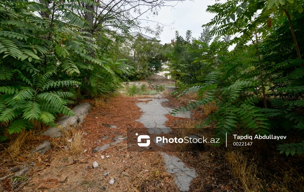 Baxımsız vəziyyətdə olan "Yay parkı" - FOTOREPORTAJ