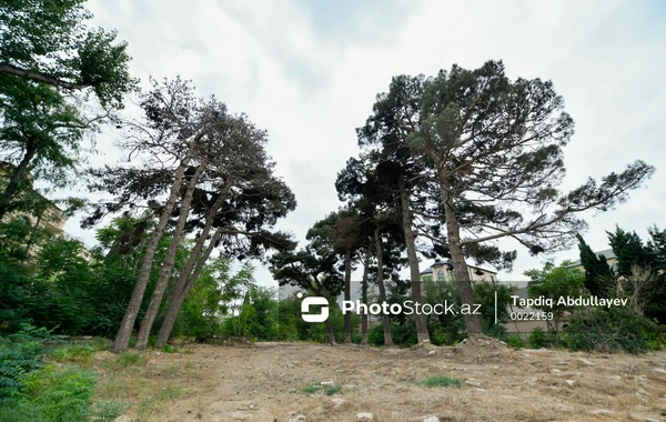 Baxımsız vəziyyətdə olan "Yay parkı" - FOTOREPORTAJ