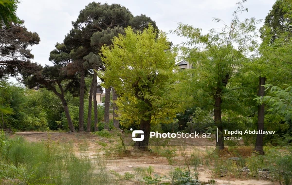 Baxımsız vəziyyətdə olan "Yay parkı" - FOTOREPORTAJ