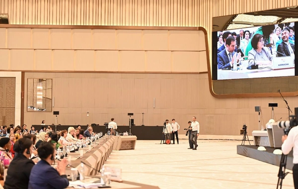 Sahibə Qafarova Qadın Parlament Sədrlərinin Sammitində çıxış edib - FOTO