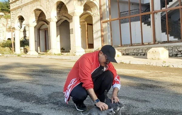 Türkiyənin Azərbaycandakı səfiri Şuşadan paylaşım etdi - FOTOlar
