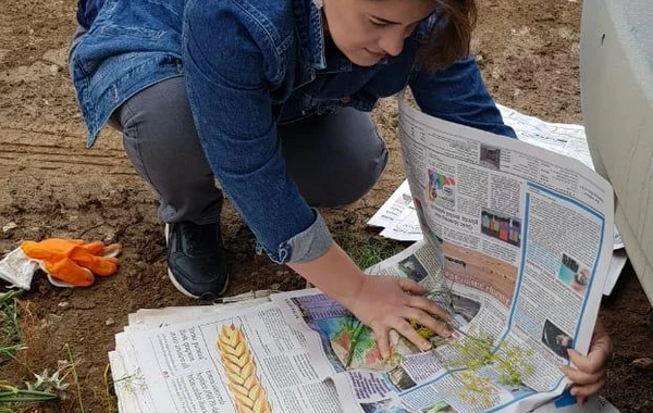 AMEA: “Şuşada işğalçıların dağıtdığı meşələrin yerini kolluq basıb” - FOTO
