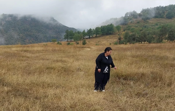 AMEA: “Şuşada işğalçıların dağıtdığı meşələrin yerini kolluq basıb” - FOTO