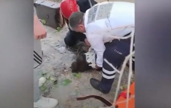 FHN binanın pəncərəsindən yıxılan 13 yaşlı uşağı belə xilas etdi - VİDEO