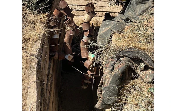 Mehriban Əliyeva Füzuli rayonundan paylaşım edib - FOTO