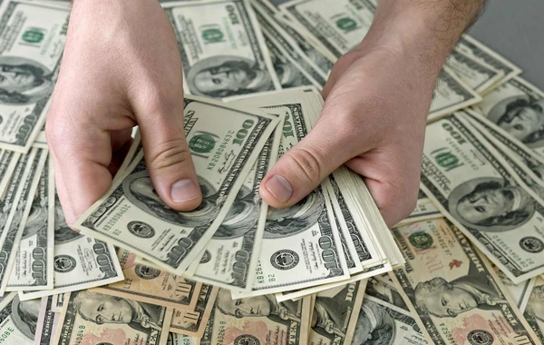 Bakıda qadın şirkətin 423 min dollarını mənimsəyib - İTTİHAM AKTI