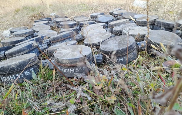 В Дашкесане обезврежены мины, закопанные в целях совершения провокации - ОФИЦИАЛЬНО + ФОТО