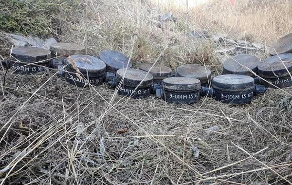 В Дашкесане обезврежены мины, закопанные в целях совершения провокации - ОФИЦИАЛЬНО + ФОТО
