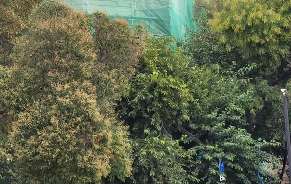 Səfərbərlik Xidmətinin binası ilə bağlı hərəkətə keçildi - FOTO