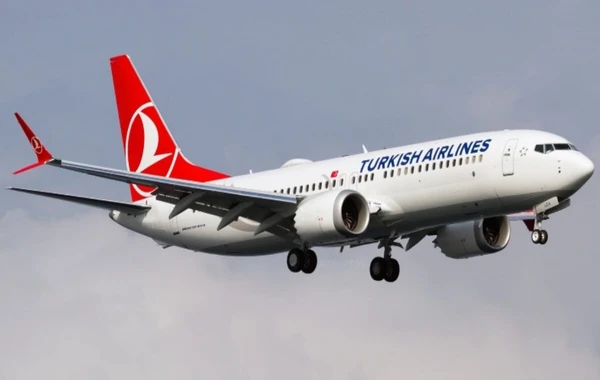 Bakı-İstanbul reysini yerinə yetirən təyyarə geri qayıdıb