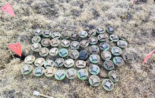 Обезврежены мины, обнаруженные в Кяльбаджаре и Дашкесане - ФОТО