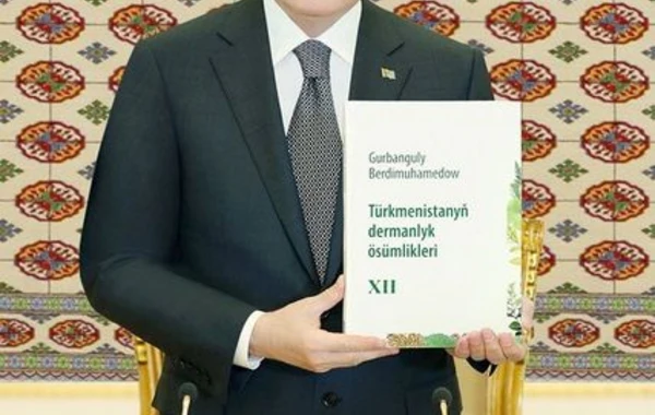 Keçmiş türkmənbaşı özünə yeni sənət tapıb - FOTO