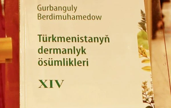 Keçmiş türkmənbaşı özünə yeni sənət tapıb - FOTO