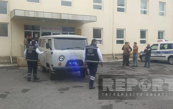 Oğuz sakini meşədə kəsdiyi ağacın altında qalıb - FOTO