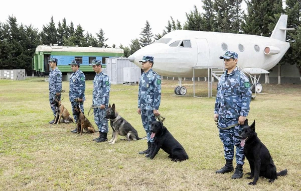 Gömrük Komitəsi ANAMA-ya 5 it ianə edib - FOTO