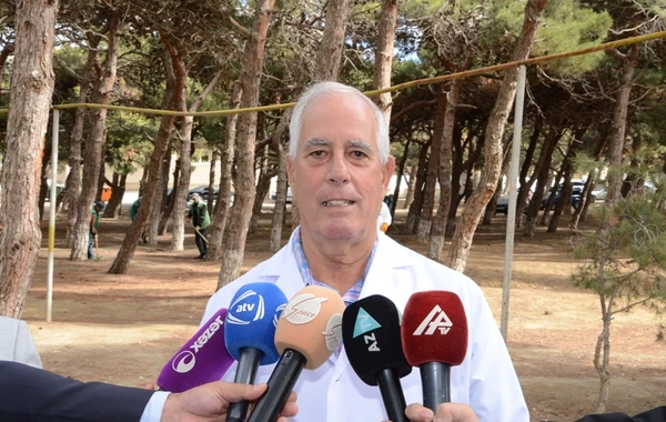 Bakıda xəstə ağacların aşkarlanması və müalicəsi ilə bağlı tədbirlər görülüb - FOTO